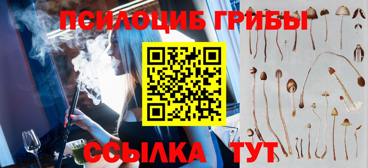 Псилоцибиновые грибы MAGIC MUSHROOMS Шадринск